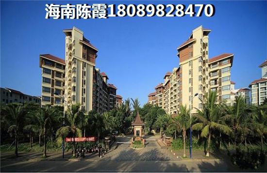 宝坻橄榄树怎么样？