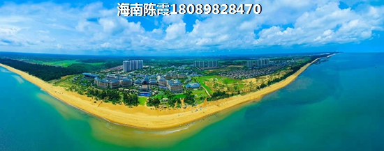 碧桂园大都汇房价走势2024分析！