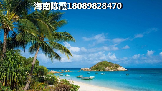 碧桂园·莫奈的湖 一居  户型图